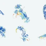 구글의 AlphaFold AI가 예측한 단백질 구조 모델