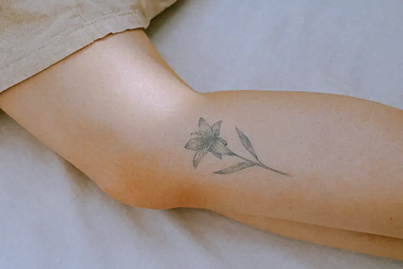 누탯츠 타투 다리에 사용