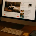 유튜브 프리미엄 라이트 출시일 - 광고 차단 앱과 유튜브 프리미엄 라이트 비교, YouTube Premium Lite vs Adblock