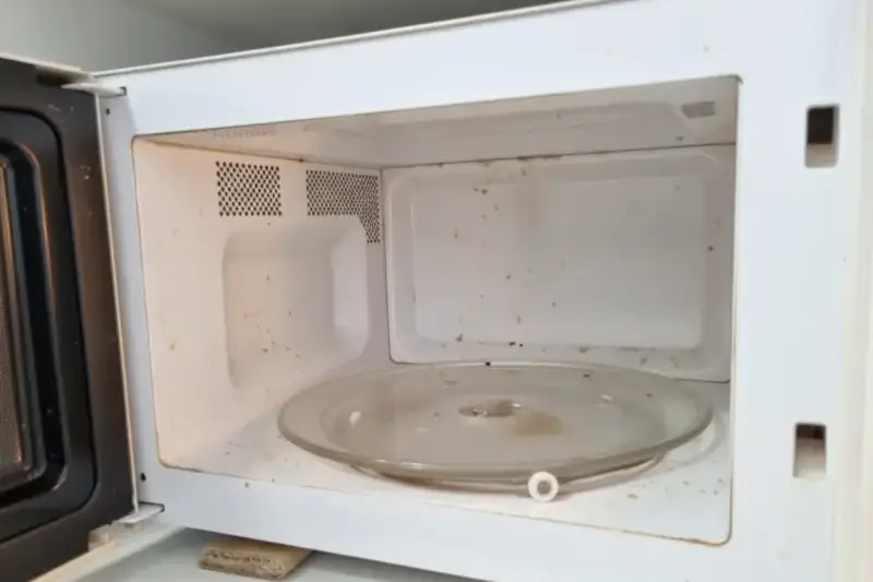 전자레인지 찌든 때, 지저분한 내부, microwave stains, dirty interior